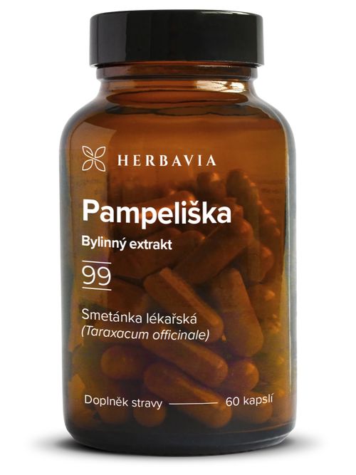 Pampeliška bylinný extrakt - kapsle