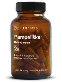 Pampeliška bylinný extrakt - kapsle