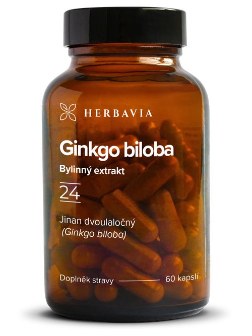 Ginkgo biloba (Jinan dvoulaločný)