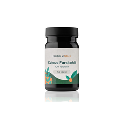 Coleus forskohlii kapsle - extrakt s 10% forskolin