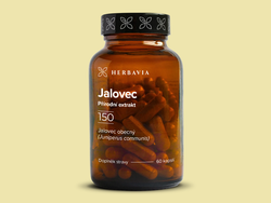 Jalovec-Juniper - Juniperus communis - 60 kapslí