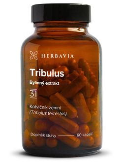 Tribulus - kotvičník  bylinný extrakt - 60 kapslí