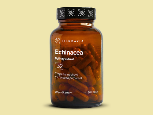 Echinacea - Třapatka nachová - Echinacea purpurea