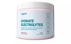 Vilgain Elektrolyty – meloun 320 g