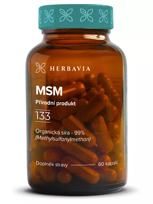 MSM - přírodní produkt - kapsle