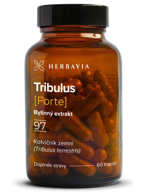 Tribulus forte