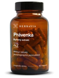 Právenka (Měkýn latnatý)