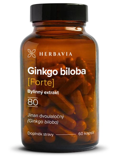 Ginkgo biloba FORTE