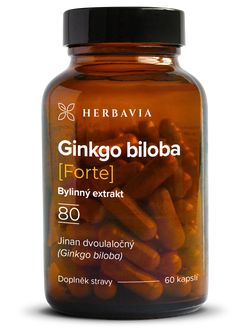 Ginkgo biloba FORTE