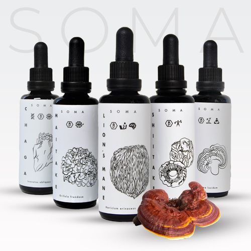 Soma tinktury z medicinálních hub - Kaapa Health Maitake 30ml