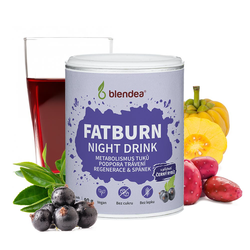 Blendea Fatburn Night Drink 90 g