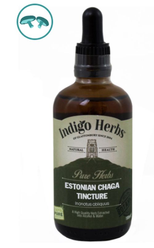 Indigo Herbs Chaga Mushroom tinktura, 100 ml