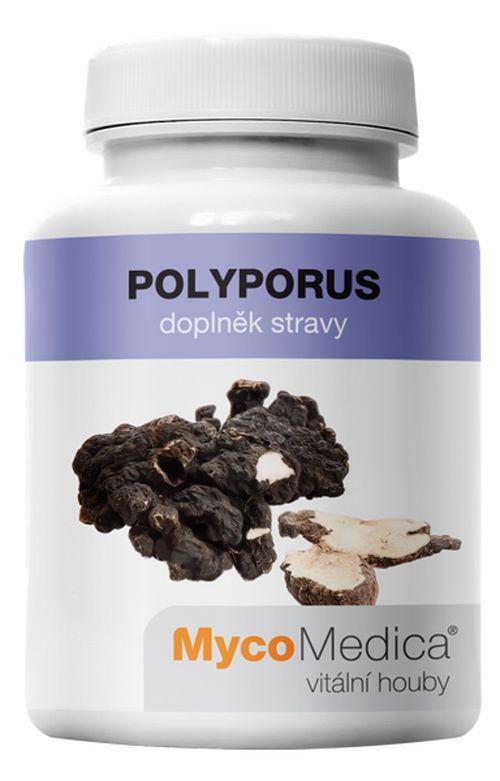 MycoMedica - Polyporus v optimální koncentraci, 90 rostlinných kapslí  Akční cena