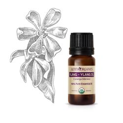 Ylang-Ylang olej 100% Bio Alteya 10 ml
