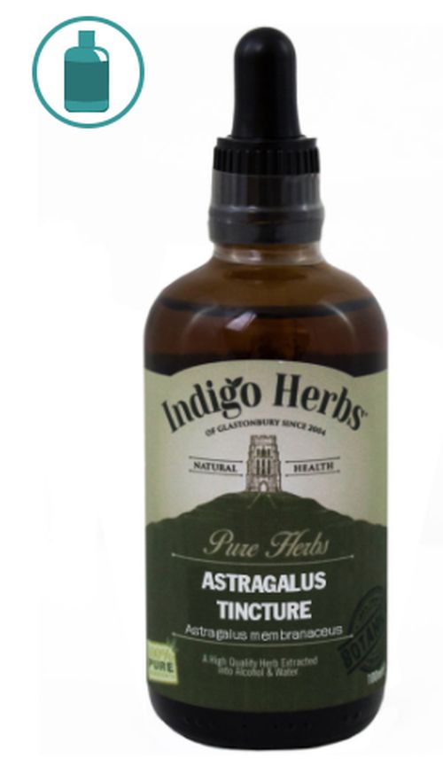 Indigo Herbs Astragalus, Kozinec blanitý, tinktura, 100 ml