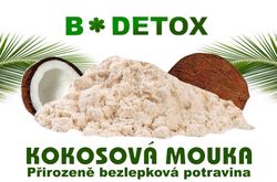 Bio-Detox Kokosová mouka 500g